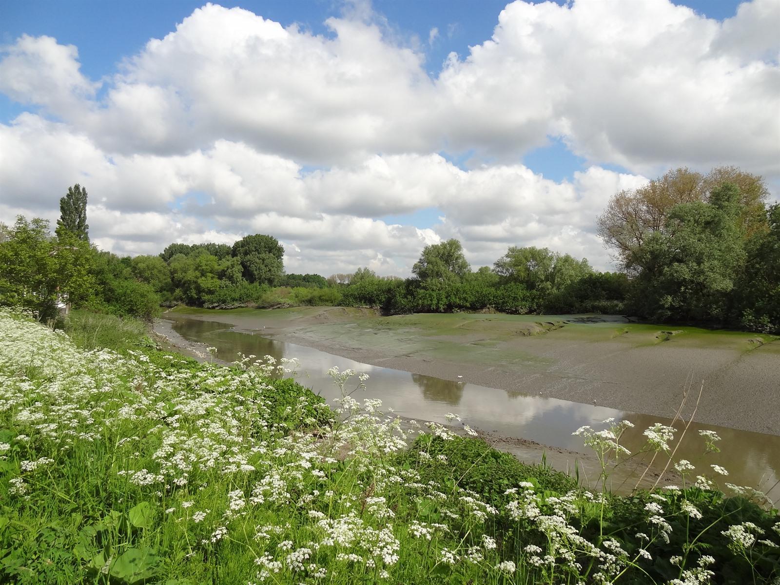 Hamme en natuurgebieden Den Bunt, Lippenbroek, Vlassenbroek. Waar de