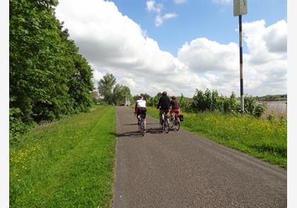 Hamme en de natuurgebieden  