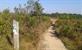 Nationaal Park Hoge Kempen, groene parel in Limburg