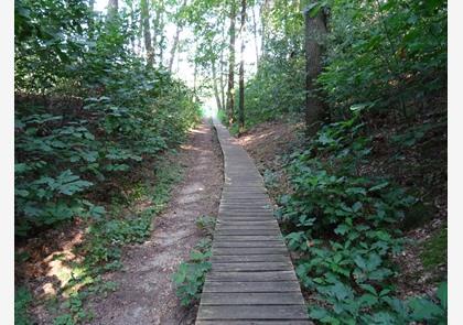 Nationaal Park Hoge Kempen, groene parel in Limburg