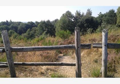 Nationaal Park Hoge Kempen, groene parel in Limburg