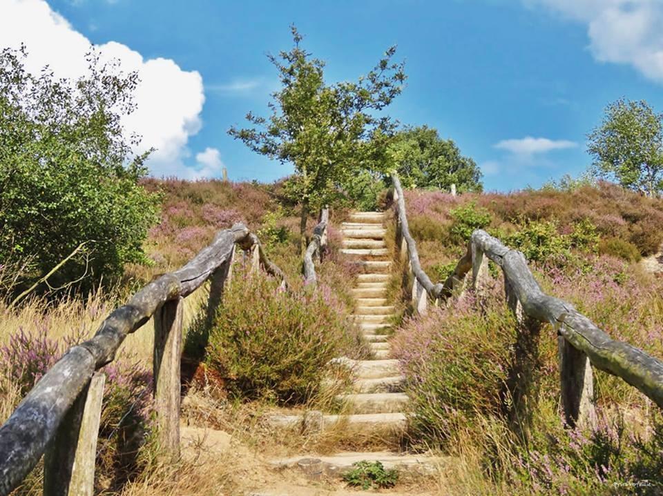 Nationale Parken Nederland uitjes & wandelen - Reisliefde