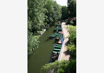 Amiens: per platbodem door de vruchtbare hortilonnages