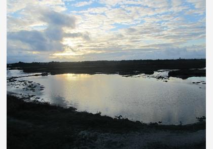 Île de Noirmoutier: eiland met veel mogelijkheden