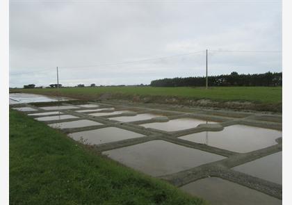 Île de Noirmoutier: eiland met veel mogelijkheden