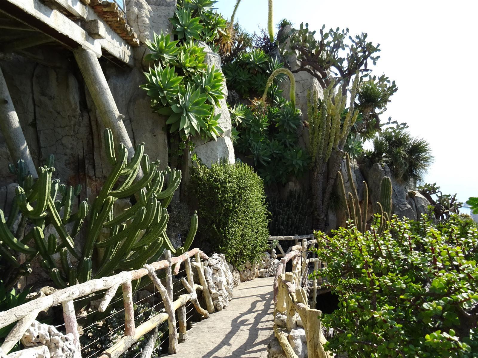 Lees onze tips voor de Jardin Exotique Monaco Lees onze tips voor de Jardin Exotique Monaco