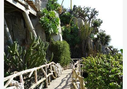 Monaco: Jardin Exotique of exotische tuin