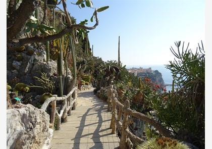 Monaco: Jardin Exotique of exotische tuin