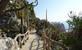 Monaco: Jardin Exotique of exotische tuin