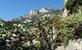 Monaco: Jardin Exotique of exotische tuin