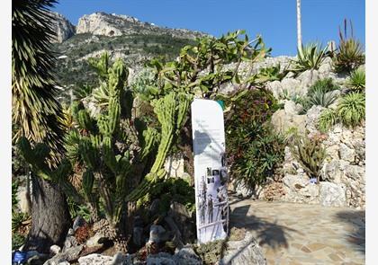 Monaco: Jardin Exotique of exotische tuin