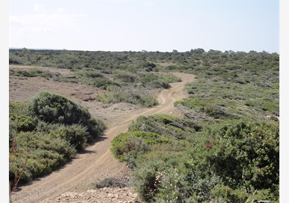 Cyprus ontdekken per Jeep? Een onvergetelijke jeepsafari