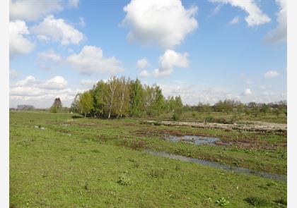 Kalkense Meersen: uniek stiltegebied langs de Schelde 