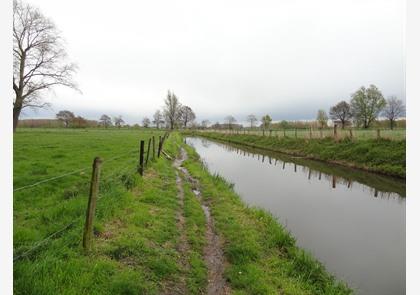 Kalkense Meersen: uniek stiltegebied langs de Schelde 