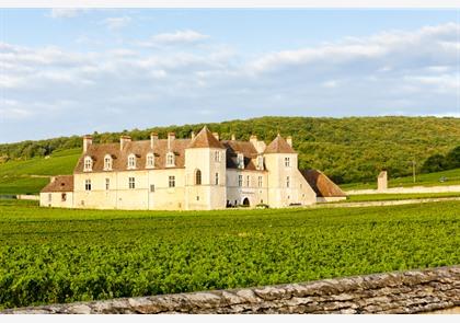 Welke rijkdom bezitten de kastelen van Bourgogne?