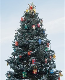 Reisgids Kerstmarkt Düsseldorf