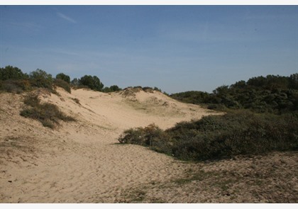 Koksijde: gevarieerd aanbod bezienswaardigheden