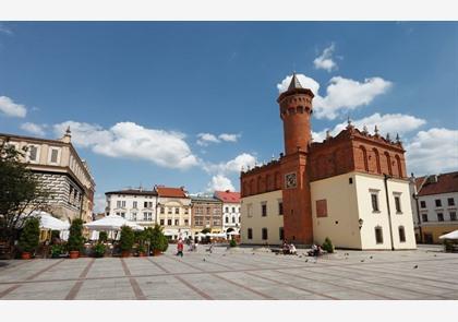 Daguitstappen Krakau: Tatra, Tarnów, Wadowice & meer