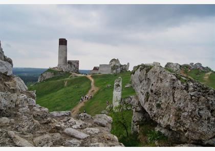 Daguitstappen Krakau: Tatra, Tarnów, Wadowice & meer