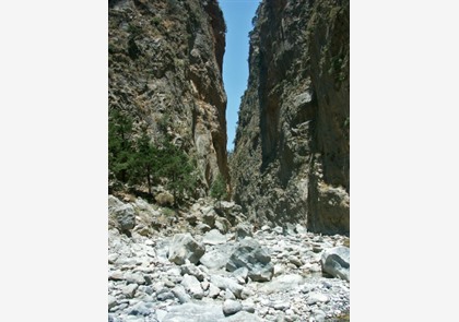 Kreta: Chania en Iraklion