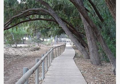 La Mata natuurpark - Torrevieja