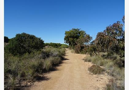 La Mata natuurpark - Torrevieja