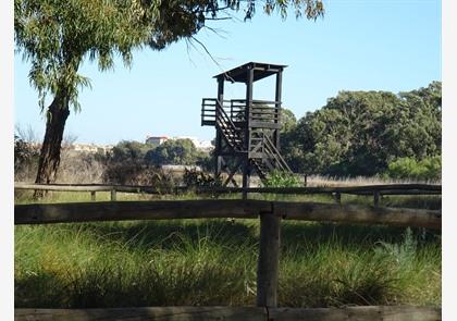 La Mata natuurpark - Torrevieja