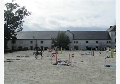 La Roche-sur-Yon, op kaart gezet door Napoleon 