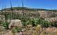 Las Alpujarras: natuur en witte dorpen