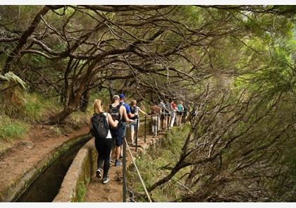 Maak een levadawandeling langs de kanaaltjes van Madeira