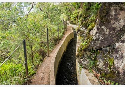 Maak een levadawandeling langs de kanaaltjes van Madeira