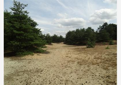 Lommel, verrassend veel erfgoed te ontdekken