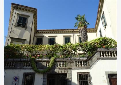 Vakantie Lucca en Collodi: cultuurschatten, historische tuin en Pinocchio 