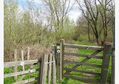 Vlaamse Ardennen: luswandelingen in Ename en Muziekbos