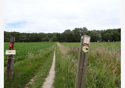 Vlaamse Ardennen: luswandelingen in Ename en Muziekbos