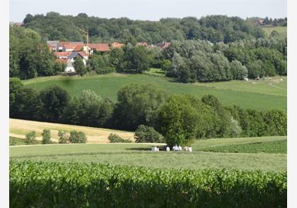 Vlaamse Ardennen: luswandelingen in Ename en Muziekbos