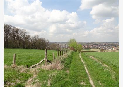 Vlaamse Ardennen: luswandelingen in Ename en Muziekbos