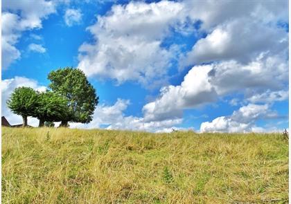 Vlaamse Ardennen: luswandelingen in Ename en Muziekbos