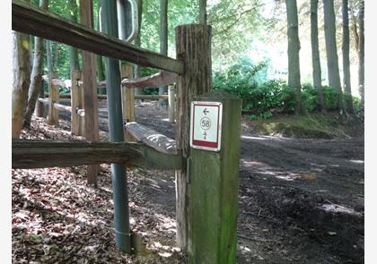 Vlaamse Ardennen: luswandelingen in Ename en Muziekbos