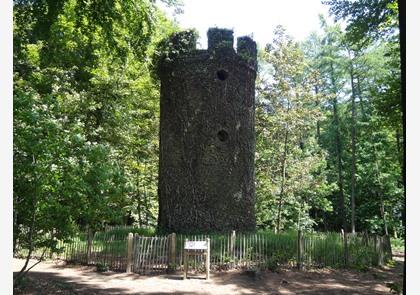 Vlaamse Ardennen: luswandelingen in Ename en Muziekbos