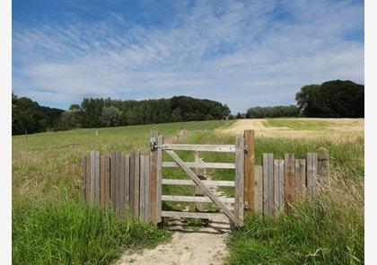 Vlaamse Ardennen: luswandelingen in Ename en Muziekbos