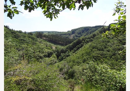 Weekendje weg naar Luxemburg? Ontdek de Ardennen