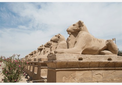 Luxor: cultureel hoogtepunt