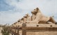 Luxor: cultureel hoogtepunt