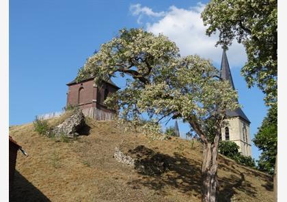 Maaseik, een Maasstad met historische allure