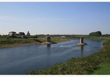 Maaseik, een Maasstad met historische allure