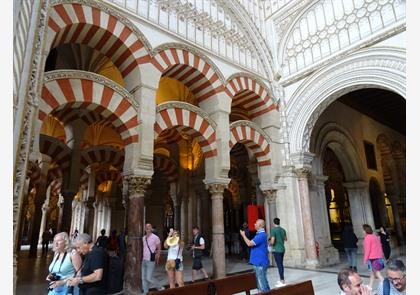 Moskee-kathedraal Mezquita in Cordoba bezoeken? Informatie en entreetickets