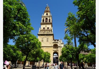 Moskee-kathedraal Mezquita in Cordoba bezoeken? Informatie en entreetickets