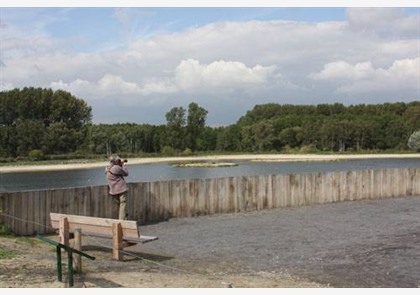 Antwerpen: bezoek aan Natuurgebied Middenvijver