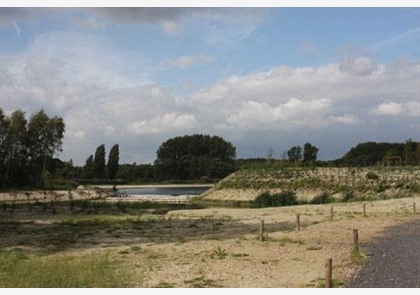 Antwerpen: bezoek aan Natuurgebied Middenvijver